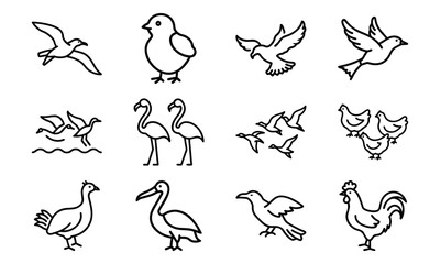 Set of Simple Bird Line Drawings – Black and White Outline Illustrations of Chickens, Ducks, Flamingos, Pigeons, and Farm Birds