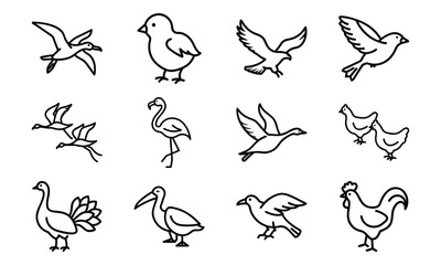 Set of Simple Bird Line Drawings – Black and White Outline Illustrations of Chickens, Ducks, Flamingos, Pigeons, and Farm Birds