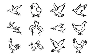 Set of Simple Bird Line Drawings – Black and White Outline Illustrations of Chickens, Ducks, Flamingos, Pigeons, and Farm Birds