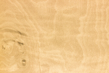 natural light wood, with a beautiful pattern. natural wood background. wooden board with natural seamless texture. birch, Betula, Betulaceae, view from above, horizontal, close-up.