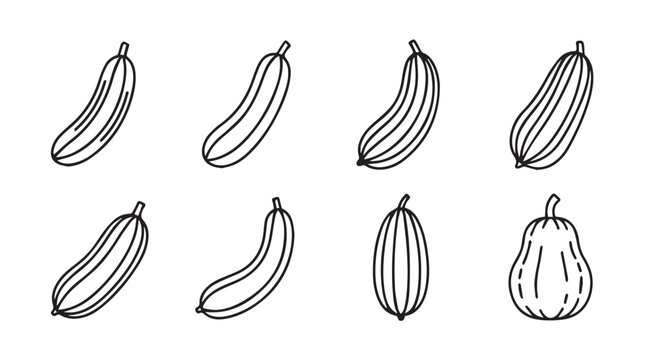 Collection of hand drawn outline squash and zucchini vegetable silhouettes
