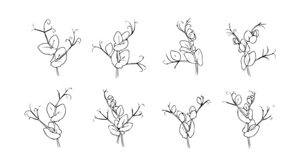 Collection of delicate botanical branch silhouettes with intricate details