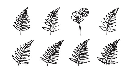 Collection of hand drawn fern leaf silhouettes in black and white