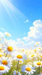 Daises blanket a bright, sunny field, bathed in a warm sunlight with a vivid blue sky dotted with soft, fluffy clouds