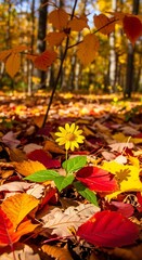 A vibrant yellow flower stands out amidst a bed of colorful autumn leaves, bathed in warm sunlight.