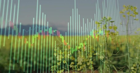 On start bars overlaying pulsing and line graph scrolling over yellow flowering field tracking data - Powered by Adobe