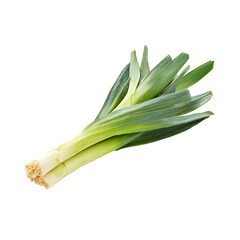 Fresh green leek