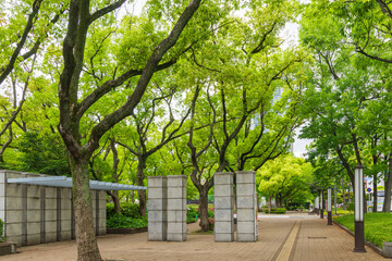 新緑の東遊園地　神戸市中央区にて