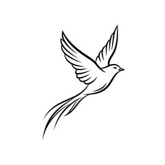 Fototapeta premium vector illustration of a bird