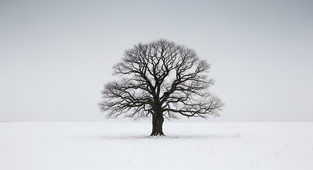 A solitary leafless tree stands starkly against a snowy expanse under a grey sky creating a contemplative monochrome landscape evoking a sense of