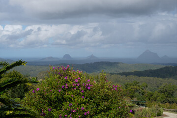 Glass House Mountains QLD AUS 1