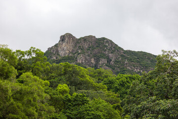 Hong Kong lion rock mountain