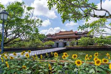  A row of vibrant sunflowers frames a tranquil moat, with a beautiful traditional Hue Imperial City building visible in the background, under a bright blue sky.