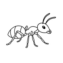 Ant Line Art Vector Illustration

 

 
