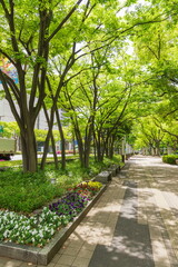 新緑の東遊園地　神戸市中央区にて