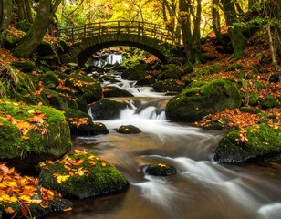 Autumnal forest stream with bridge