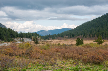 Picturesque Altai valley in late august located in the Altai mountains, Russian Federation