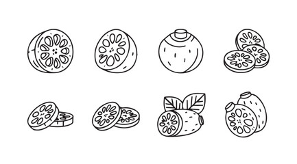 Collection of hand drawn lotus root slices and whole roots silhouette