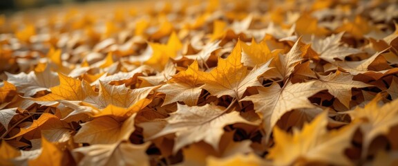 Rustling Symphony  A Photorealistic Study of Fallen Leaves