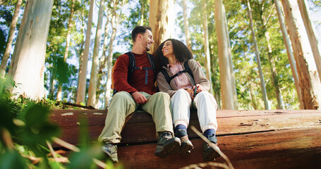 Hug, hikers and couple in nature, laugh and break on adventure, forest and relax on holiday or love. Outdoor, man and embrace with woman in woods, backpacker or romance on vacation and low angle