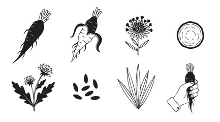 Collection of hand drawn botanical illustrations and farm elements silhouette