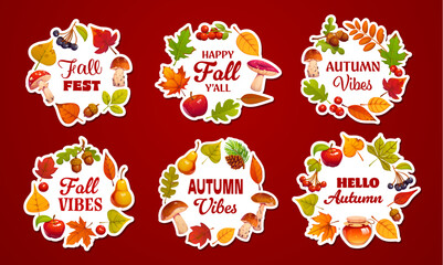 Autumn season stickers with festive typography like Fall Fest, Autumn Vibes and Hello Autumn surrounded by falling leaves, fruits and acorns, pinecones, mushrooms and jars of honey. Vector patches set