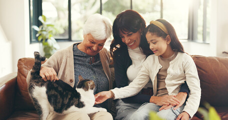 Happy, family and child on sofa with cat, love and people bonding together in home living room. Senior woman, mother and girl playing on couch with animal, connection and support for grandmother