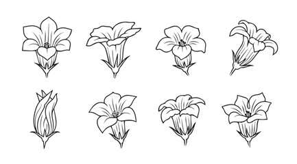 Collection of eight delicate floral illustrations in a striking black and white silhouette style