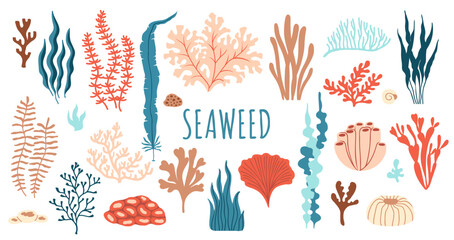 Naklejka premium Underwater seaweed, aquarium and sea algae plants. Vector flat set of coral reef tropical wildlife biodiversity. Ocean undersea water life, isolated marine weeds, wracks, laminaria, kelp oceanic flora