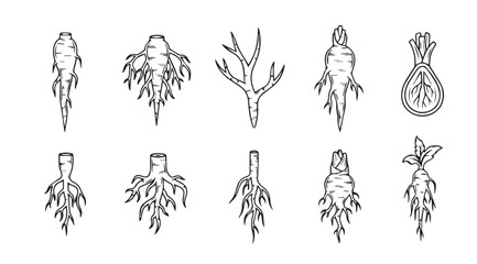Collection of ten intricate tribal inspired root and branch silhouette designs