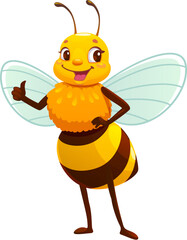 Cartoon cheerful honey bee character with thumbs up gesture and joyful happy expression. Vector adorable cute honeybee, animal insect personage featuring bright yellow and black stripes and wings