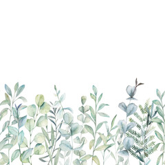 Floral seamless border. Watercolor pattern with herbs and eucalyptus branches on white background. Hand drawn illustration