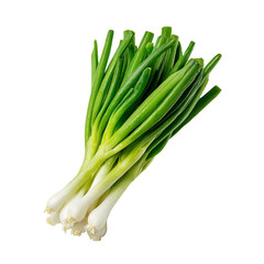 Close-up of fresh green onions