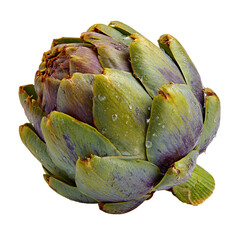 Fototapeta premium Close-up artichoke, vibrant green and purple tones