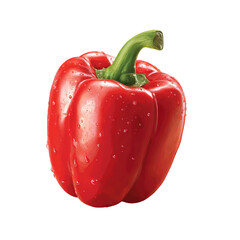 Red bell pepper, wet, whole, detailed illustration
