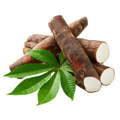 Raw yuca roots with leaves