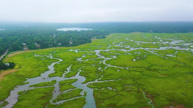 Drone video of coastal wetlands, showcasing tidal channels, water inlets, and sprawling marshes with vibrant grasses and vegetation beneath an overcast sky.