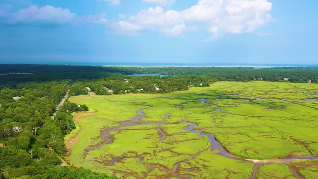 Scenic aerial panorama of tidal flats and marshes, highlighting winding water channels, vibrant green vegetation, and overcast skies above the natural coastal landscape.