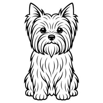 Cute yorkshire terrier dog illustration sitting