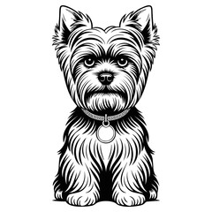 Cute yorkshire terrier dog illustration sitting, black and white sketch style