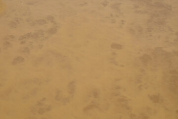 Background texture of the surface of the river is cloudy brown. Ecological and environmental concept. For graphic design, 3D rendering and banner background