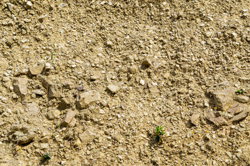 Close view of light brown soil with small light stones. The roughness and structure of the material is visible