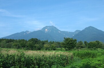 トウモロコシ畑と妙高山　横位置