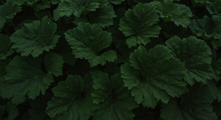 Lush Emerald Jungle Leaves Natures Dark Green Texture.
