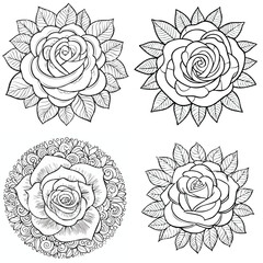Rose beautiful line drawing vector collection combined in one artwork.