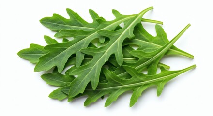 Arugula Greens Fresh with Peppery, and and Ready to Eat.