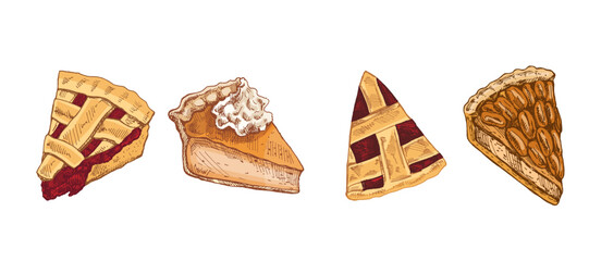Hand drawn vintage sketch set of pie slices with cherry lattice pumpkin cream nut and traditional baked crust