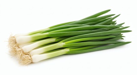 Obraz premium Fresh Spring Onions with Vibrant Green Harvest.