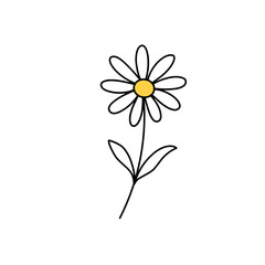 White daisy flower illustration with hand drawn outline