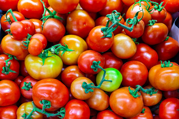 Red and green tomatoes in the market